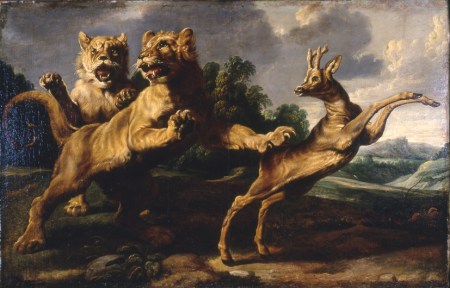 two lionesses by frans synders